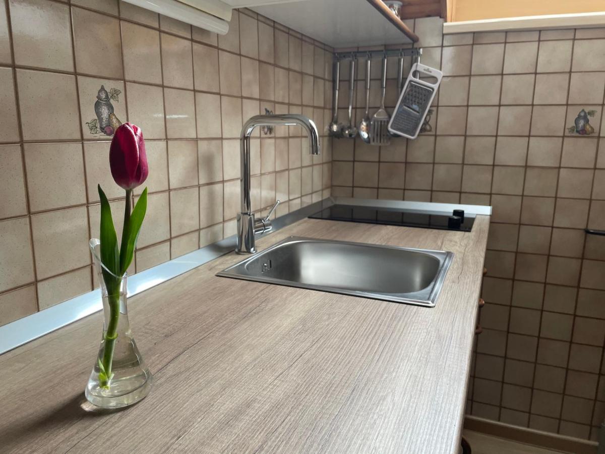 Apartmaji Prezelj Bohinj ภายนอก รูปภาพ