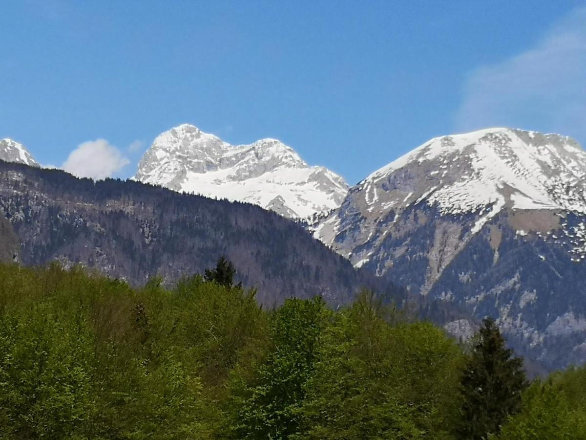 Apartmaji Prezelj Bohinj ภายนอก รูปภาพ