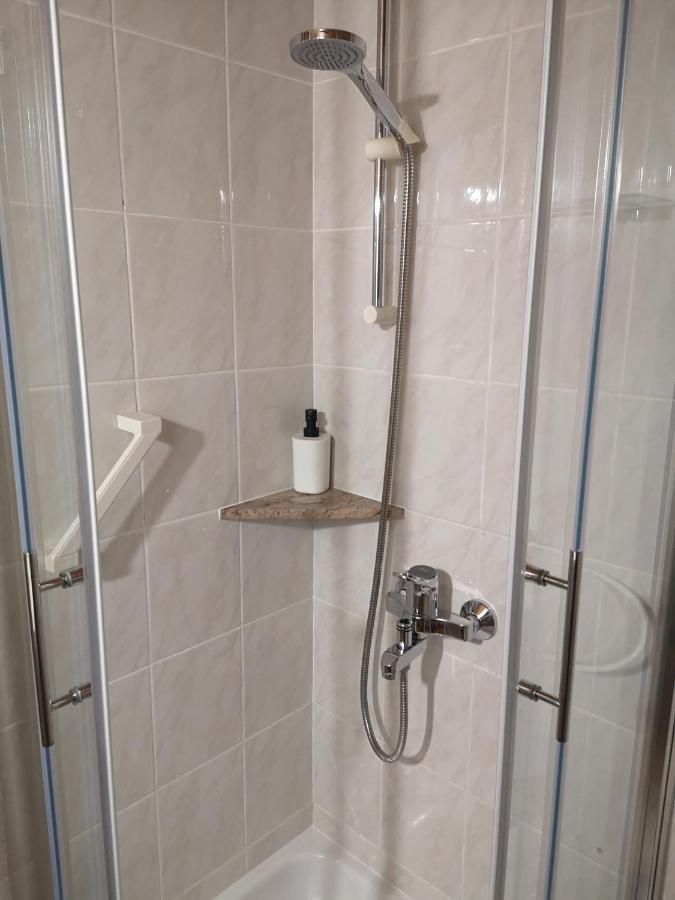 Apartmaji Prezelj Bohinj ภายนอก รูปภาพ