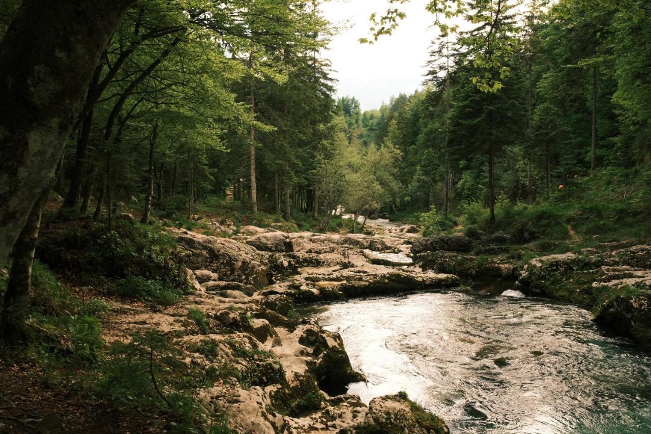 Apartmaji Prezelj Bohinj ภายนอก รูปภาพ