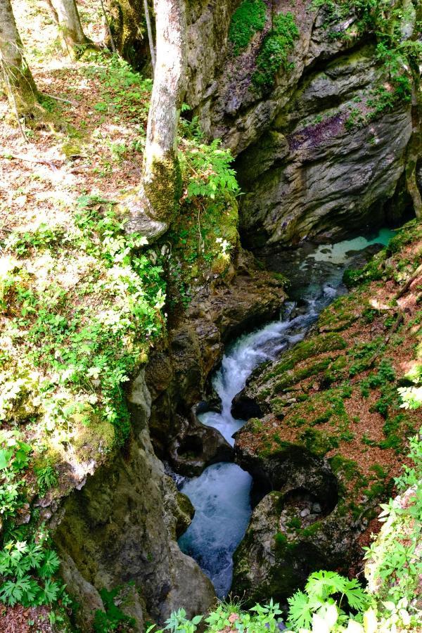 Apartmaji Prezelj Bohinj ภายนอก รูปภาพ